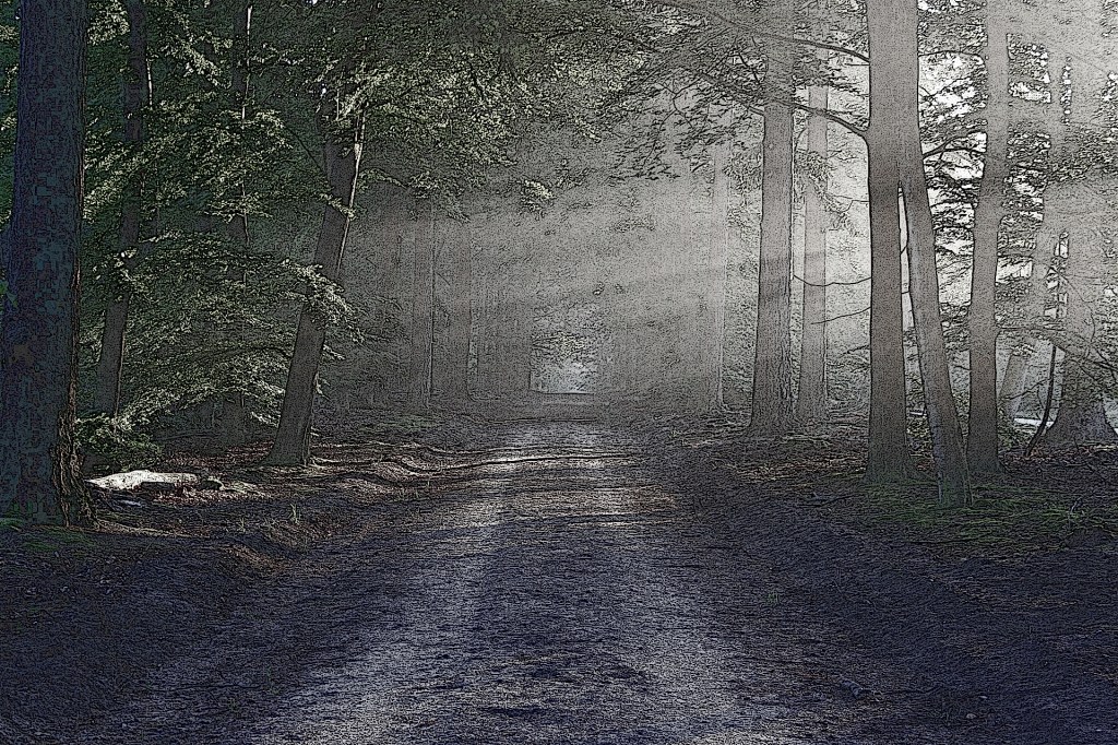 An der Welt weiterbauen