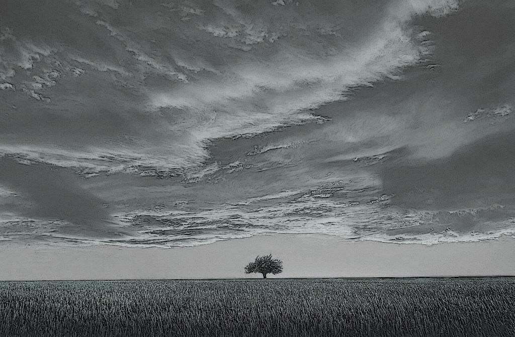 Was jetzt zu tun ist